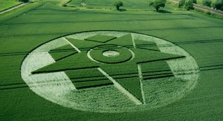Illustration for article titled The Most Astonishing Crop Circle Artworks of 2014